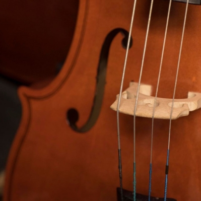 Scaramuzza Strumenti Musicali Cremona - 11