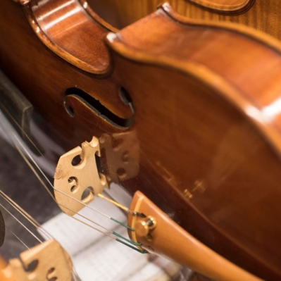 Scaramuzza Strumenti Musicali Cremona - 14