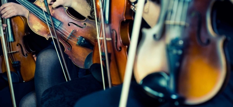 Le nuove corde per Violino “IL CANNONE” della ditta Larsen