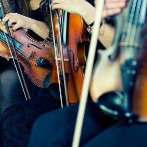 corde violino Larsen